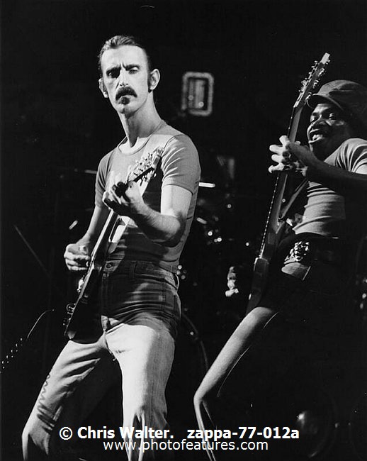 Photo of Frank Zappa for media use , reference; zappa-77-012a,www.photofeatures.com