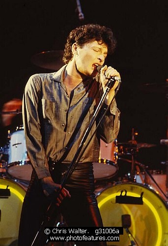 Photo of Golden Earring Photo of Golden Earring by Chris Walter , reference; g31006a,www.photofeatures.com