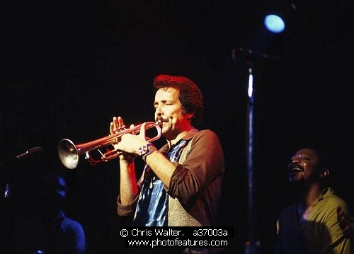 Photo of Herb Alpert by Chris Walter , reference; a37003a,www.photofeatures.com