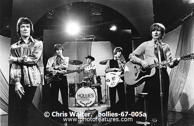 Photo of Hollies for media use , reference; hollies-67-005a,www.photofeatures.com