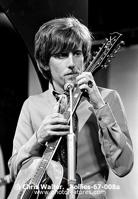 Photo of Hollies for media use , reference; hollies-67-008a,www.photofeatures.com