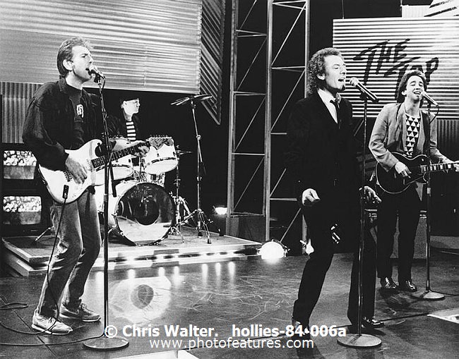 Photo of Hollies for media use , reference; hollies-84-006a,www.photofeatures.com