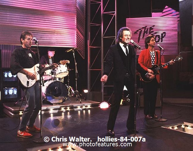 Photo of Hollies for media use , reference; hollies-84-007a,www.photofeatures.com