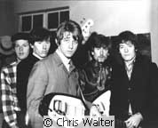 The Hollies © Chris Walter