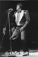 James Brown 1986<br>© Chris Walter<br>