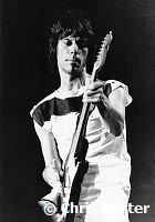 Jeff Beck 1983 at the ARMS Benefit<br> Chris Walter<br>