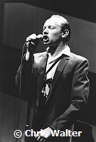 Joe Jackson 1981<br> Chris Walter<br>