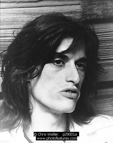 Photo of Joe Perry Photo of Joe Perry by Chris Walter , reference; p29001a,www.photofeatures.com