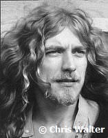 Led Zeppelin  1970 Robert Plant at Bath Festival