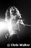 Led Zeppelin 1972 Robert Plant Alexandra Palace<br> Chris Walter<br>