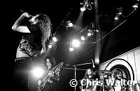 Led Zeppelin 1972 Robert Plant, Jimmy Page, John Pal Jones and John Bonham<br> Chris Walter