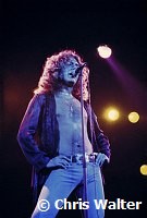 Led Zeppelin 1977 Robert Plant