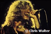 Led Zeppelin 1977 Robert Plant