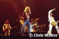 Led Zeppelin 1977 John Paul Jones, Robert Plant, John Bonham and Jimmy Page<br> Chris Walter<br>