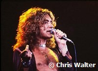 Led Zeppelin 1977 Robert Plant<br><br>