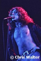 Led Zeppelin 1977<br> Chris Walter<br>