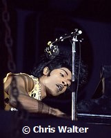 Little Richard 1975<br> Chris Walter<br>