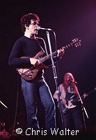 Lou Reed 1977<br> Chris Walter<br>