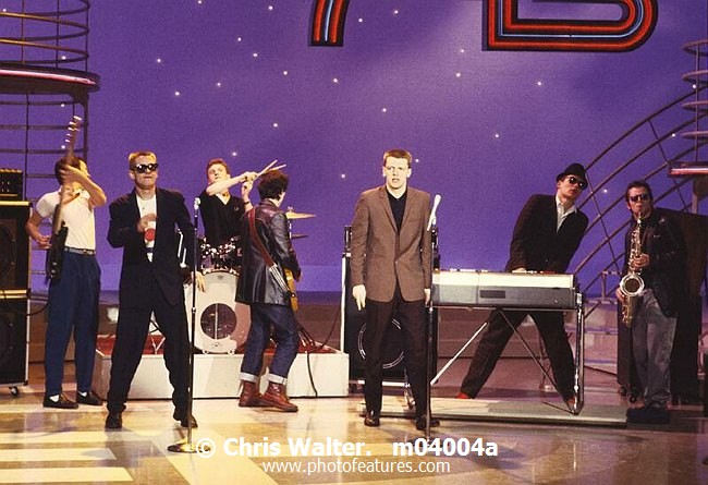 Photo of Madness for media use , reference; m04004a,www.photofeatures.com