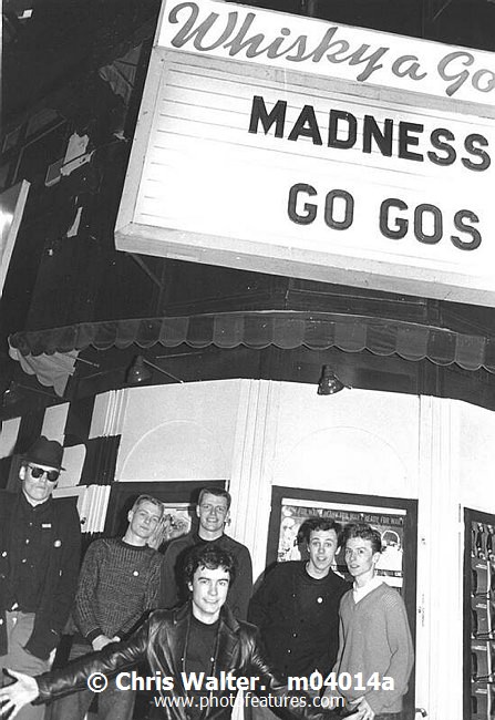 Photo of Madness for media use , reference; m04014a,www.photofeatures.com