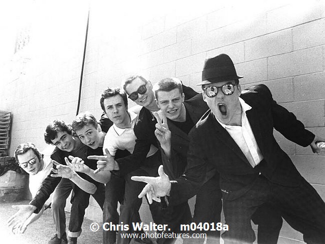 Photo of Madness for media use , reference; m04018a,www.photofeatures.com