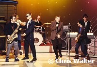 Madness 1980 on American Bandstand<br> Chris Walter<br>