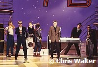 Madness 1980 on American Bandstand<br> Chris Walter<br>