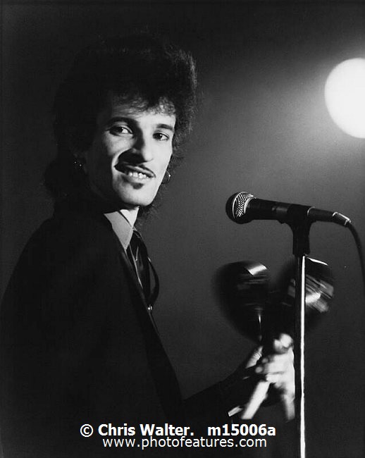 Photo of Mink Deville for media use , reference; m15006a,www.photofeatures.com