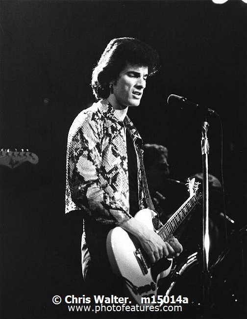 Photo of Mink Deville for media use , reference; m15014a,www.photofeatures.com