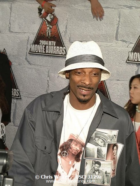 Photo of 2004 MTV Movie Awards for media use , reference; DSCF3129a,www.photofeatures.com