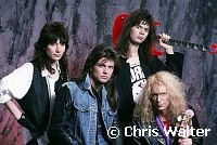 Mr. Big 1989 Eric Martin, Pat Torpey, Paul Gilbert and Billy Sheehan<br> Chris Walter<br>