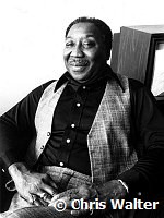 MUDDY WATERS 6/78<br> Chris Walter<br>Photofeatures International