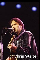 Neil Young 1986<br> Chris Walter<br>