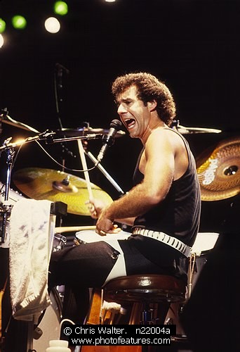 Photo of Night Ranger by Chris Walter , reference; n22004a,www.photofeatures.com