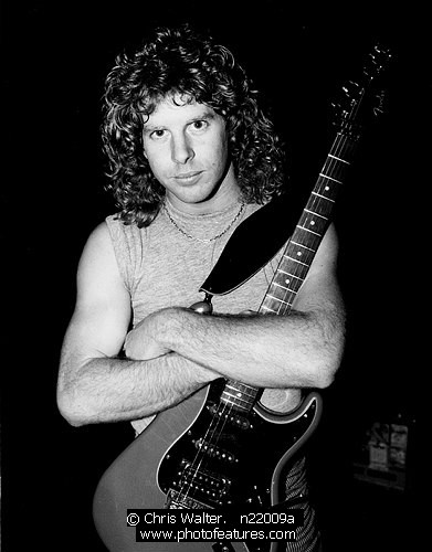 Photo of Night Ranger by Chris Walter , reference; n22009a,www.photofeatures.com