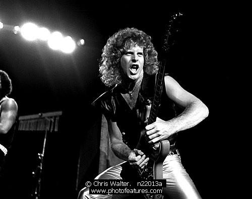 Photo of Night Ranger by Chris Walter , reference; n22013a,www.photofeatures.com