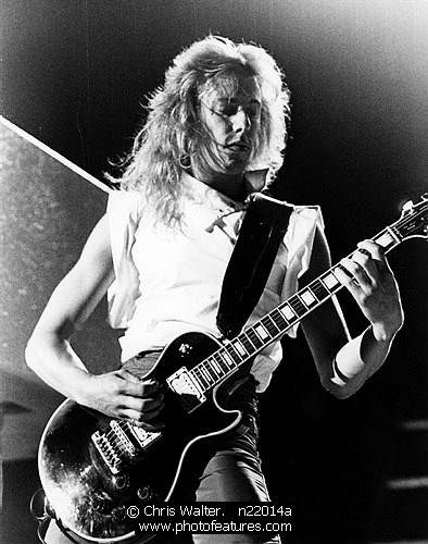 Photo of Night Ranger by Chris Walter , reference; n22014a,www.photofeatures.com