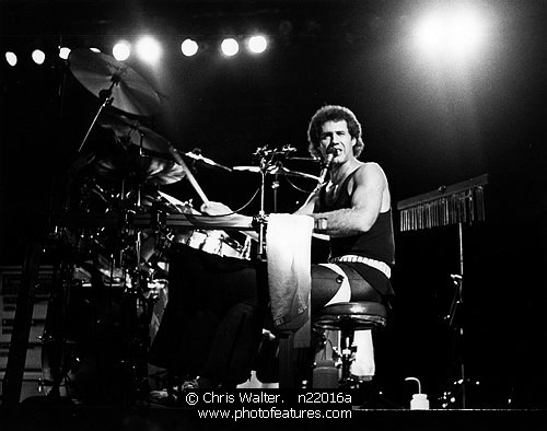 Photo of Night Ranger by Chris Walter , reference; n22016a,www.photofeatures.com