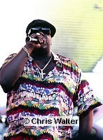 Photo of Notorious B.I.G. 1995