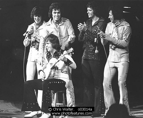 Photo of Osmonds by Chris Walter , reference; o03014a,www.photofeatures.com