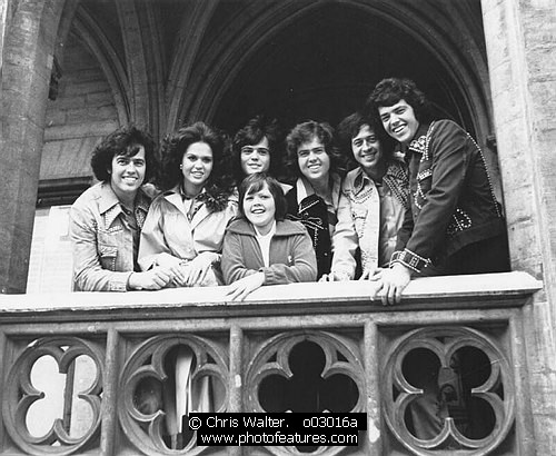 Photo of Osmonds by Chris Walter , reference; o03016a,www.photofeatures.com