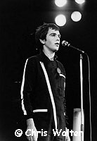 Peter Gabriel 1980<br>