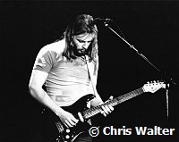 Pink Floyd 1977 David Gilmour<br> Chris Walter<br>