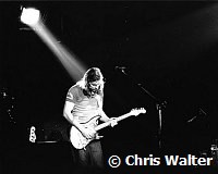 Pink Floyd 1977 David Gilmour<br> Chris Walter<br>