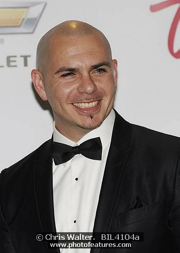 Photo of Pitbull for media use , reference; BIL4104a,www.photofeatures.com