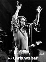 Rainbow 1976 Ronnie James Dio<br> Chris Walter