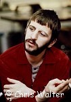 Photo of Beatles 1969 Ringo Starr at Apple<br> Chris Walter<br><br><br> Chris Walter<br>