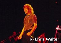 Robert Plant 1985<br> Chris Walter<br>