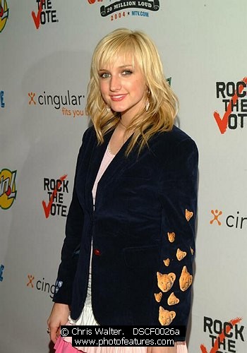 Photo of 2004 Rock The Vote by Chris Walter , reference; DSCF0026a,www.photofeatures.com