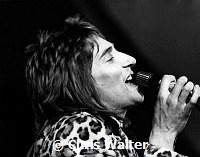 Faces 1971 Rod Stewart at The Oval<br> Chris Walter<br>